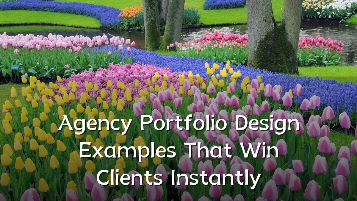 Agency Portfolio Design Examples That Win Clients Instantly