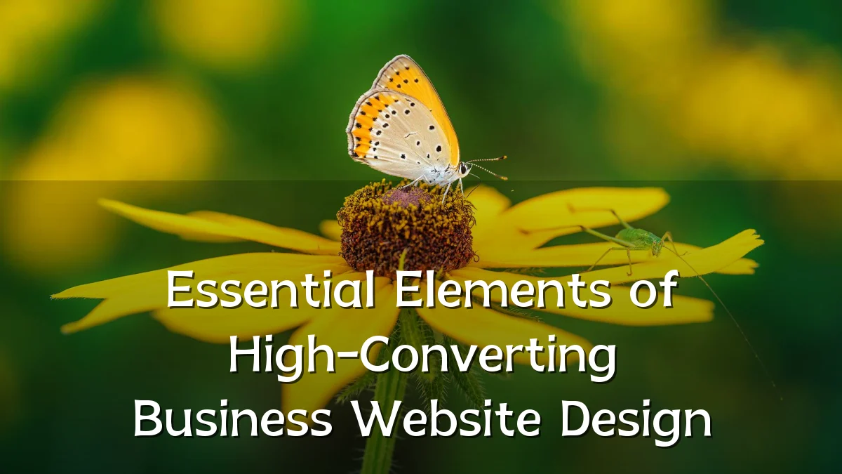 Essential Elements of High-Converting Business Website Design