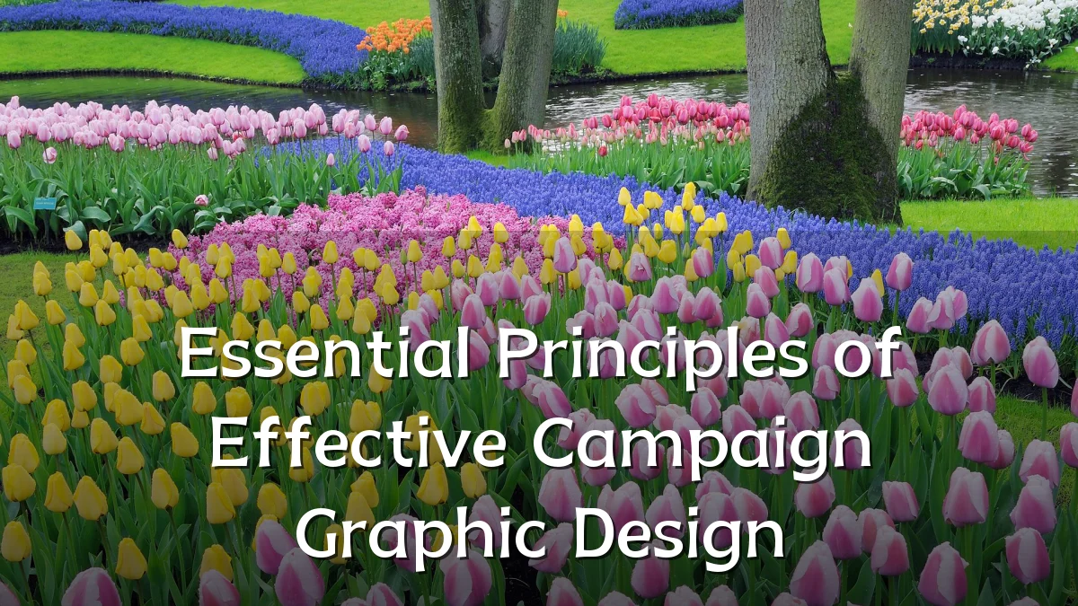 Essential Principles of Effective Campaign Graphic Design