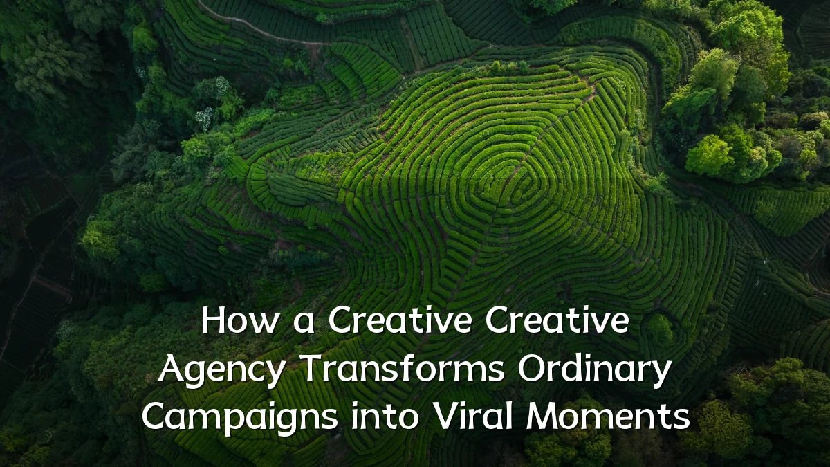 How a Creative Creative Agency Transforms Ordinary Campaigns into Viral Moments
