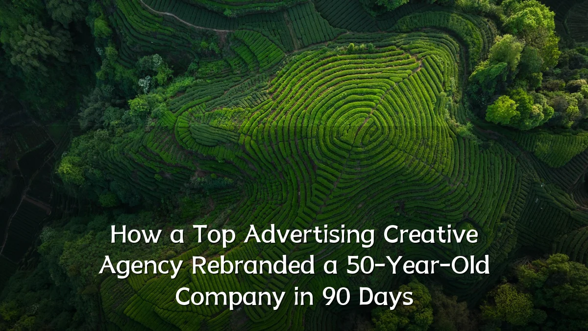 How a Top Advertising Creative Agency Rebranded a 50-Year-Old Company in 90 Days