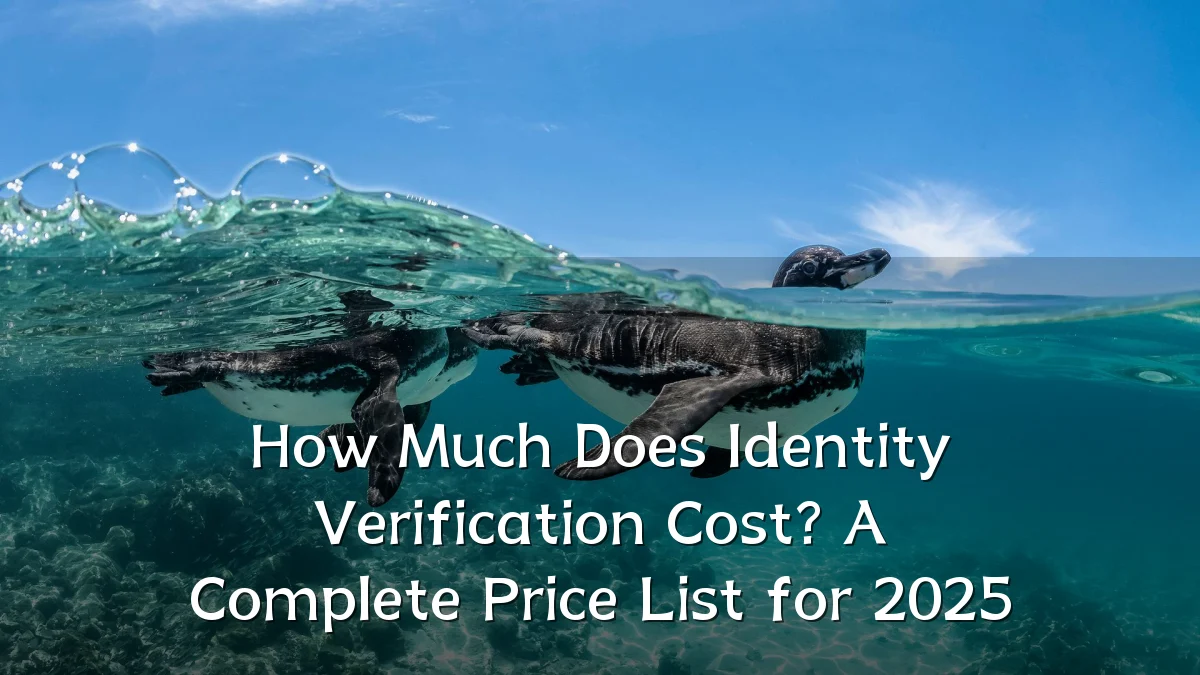 How Much Does Identity Verification Cost? A Complete Price List for 2025
