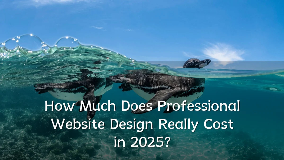 How Much Does Professional Website Design Really Cost in 2025?