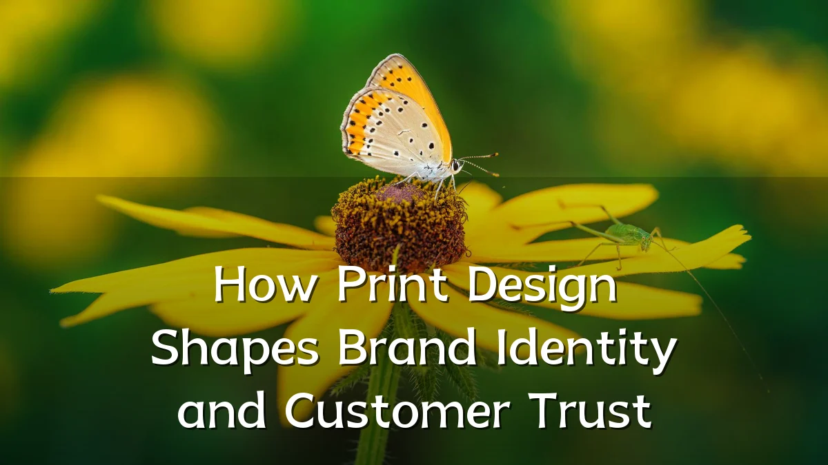 How Print Design Shapes Brand Identity and Customer Trust