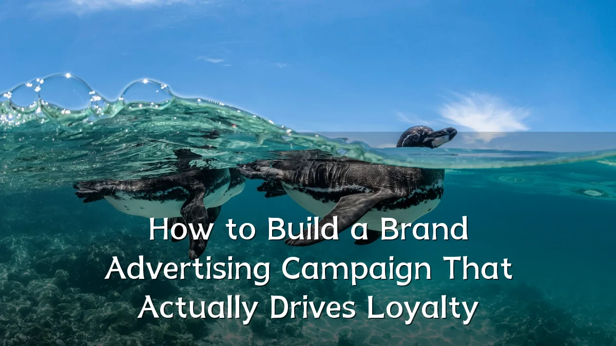 How to Build a Brand Advertising Campaign That Actually Drives Loyalty