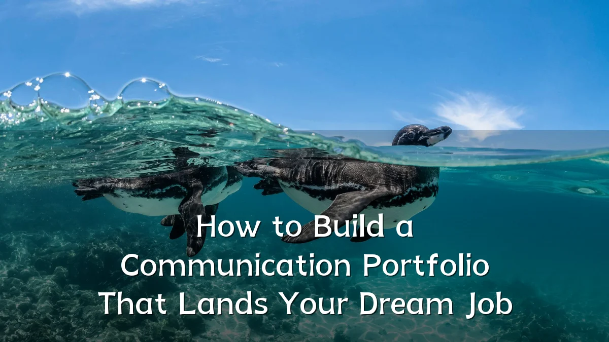 How to Build a Communication Portfolio That Lands Your Dream Job