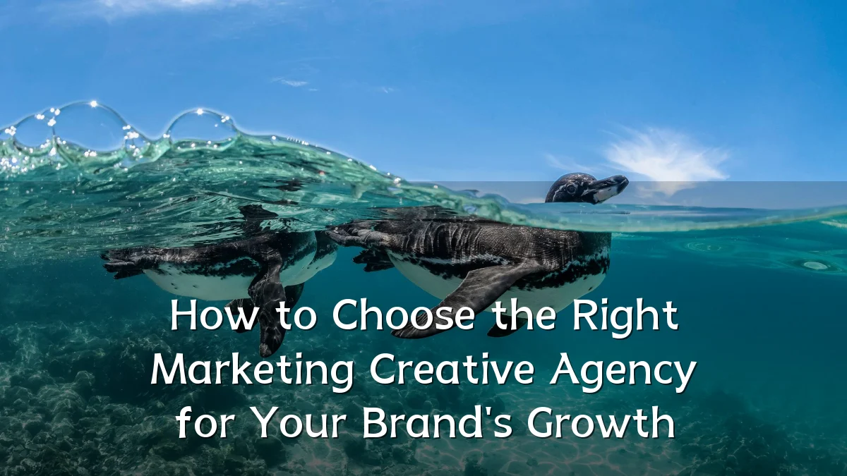 How to Choose the Right Marketing Creative Agency for Your Brand's Growth