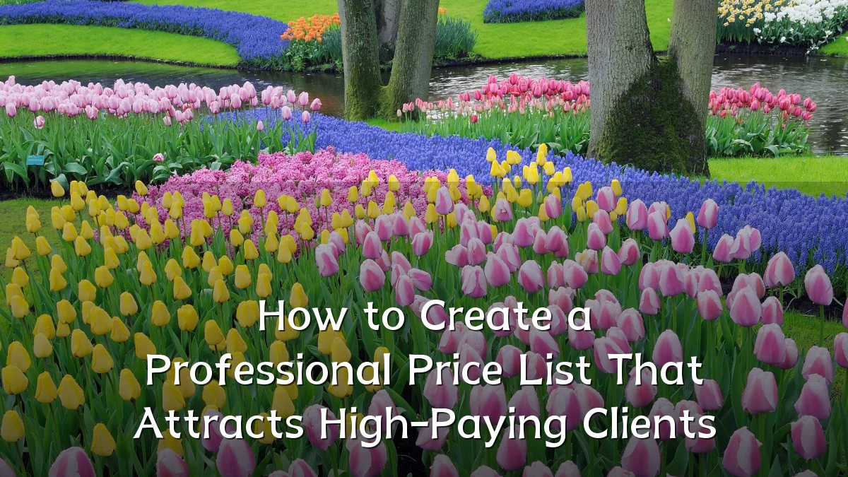 How to Create a Professional Price List That Attracts High-Paying Clients