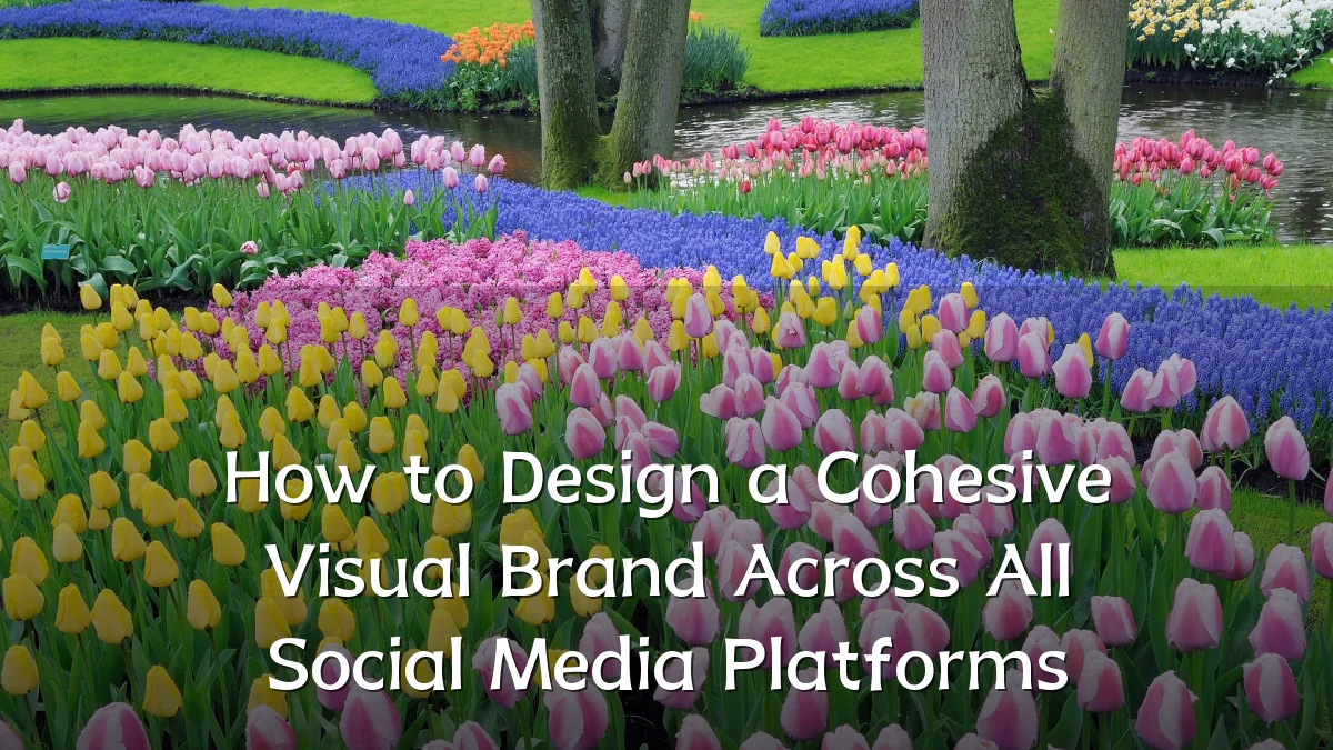 How to Design a Cohesive Visual Brand Across All Social Media Platforms