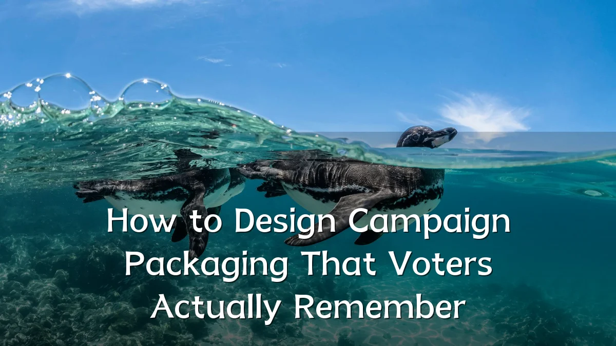 How to Design Campaign Packaging That Voters Actually Remember