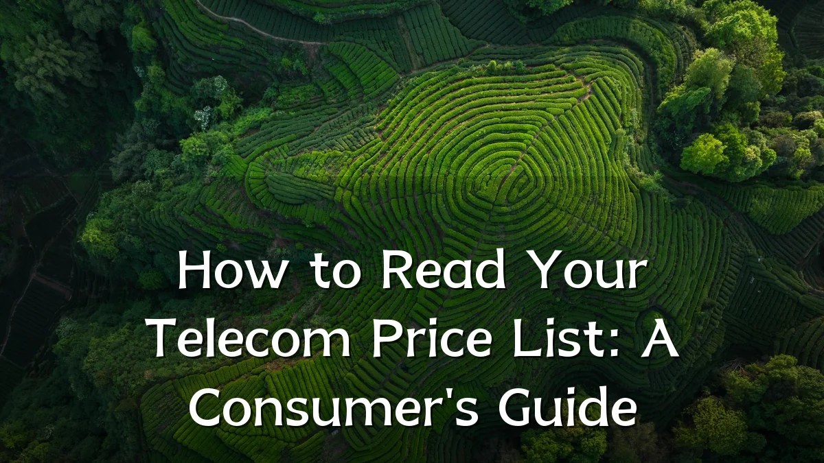 How to Read Your Telecom Price List: A Consumer's Guide