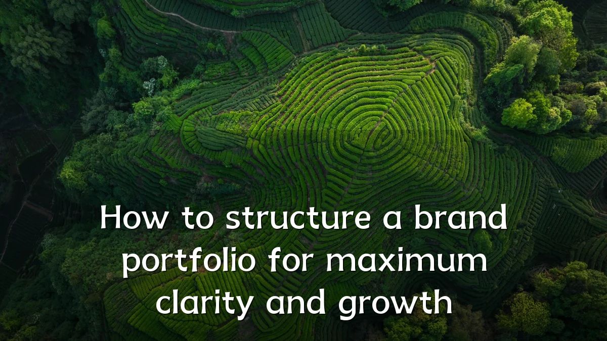 How to structure a brand portfolio for maximum clarity and growth