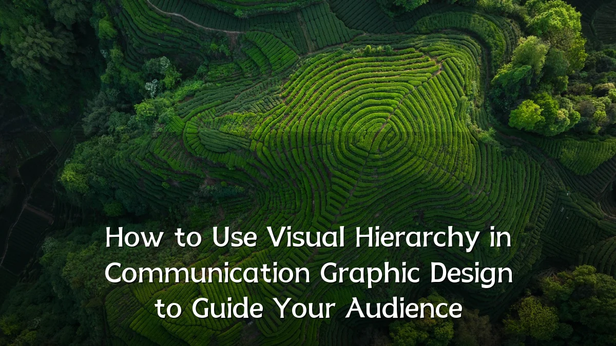 How to Use Visual Hierarchy in Communication Graphic Design to Guide Your Audience