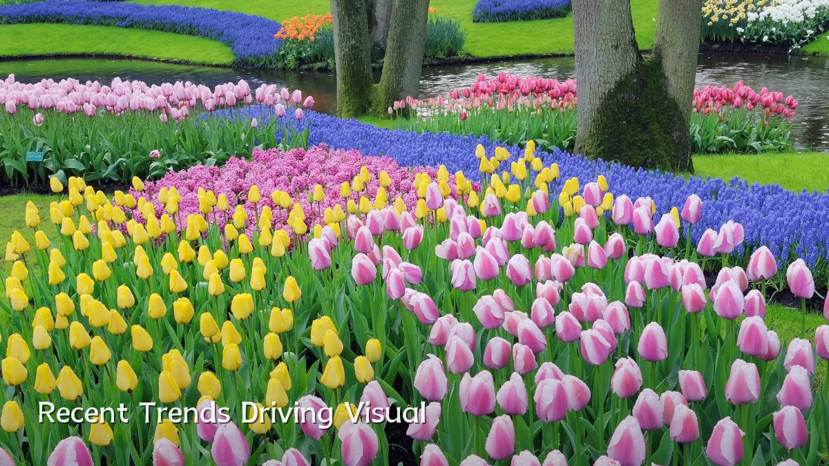Recent Trends Driving Visual
