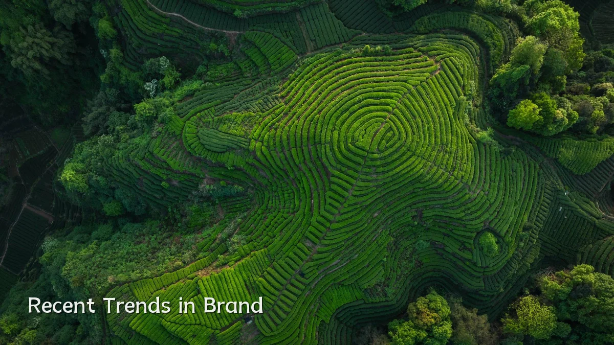Recent Trends in Brand