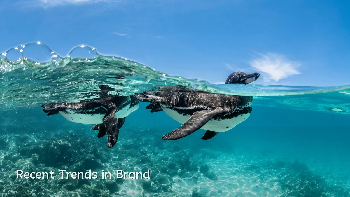 Recent Trends in Brand