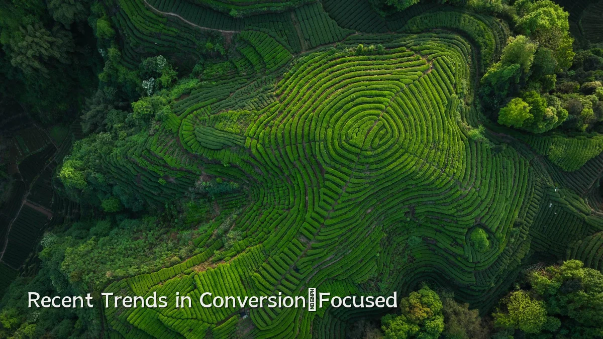Recent Trends in Conversion‑Focused