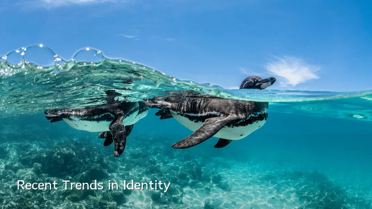 Recent Trends in Identity