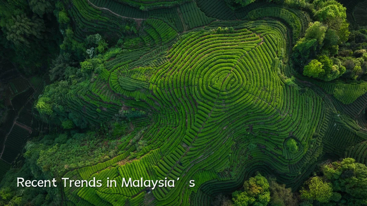 Recent Trends in Malaysia’s