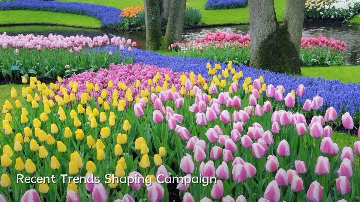 Recent Trends Shaping Campaign