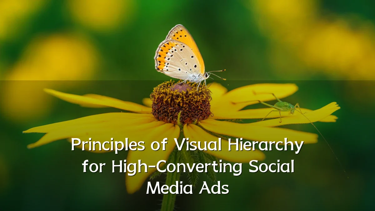 Principles of Visual Hierarchy for High-Converting Social Media Ads