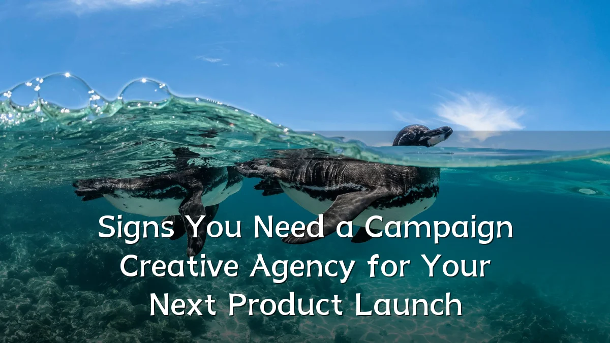 Signs You Need a Campaign Creative Agency for Your Next Product Launch