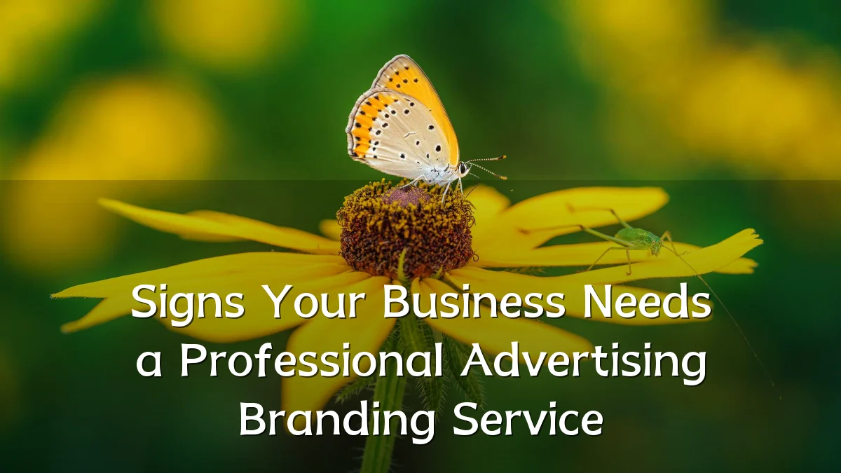 Signs Your Business Needs a Professional Advertising Branding Service