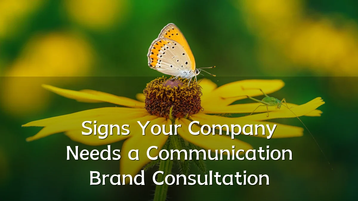 Signs Your Company Needs a Communication Brand Consultation