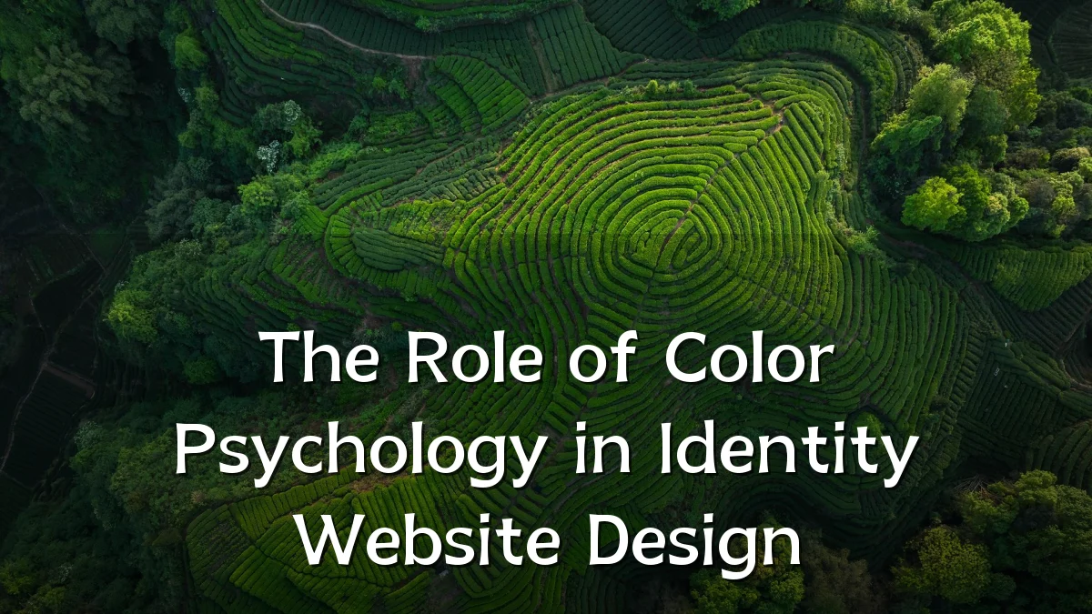 The Role of Color Psychology in Identity Website Design