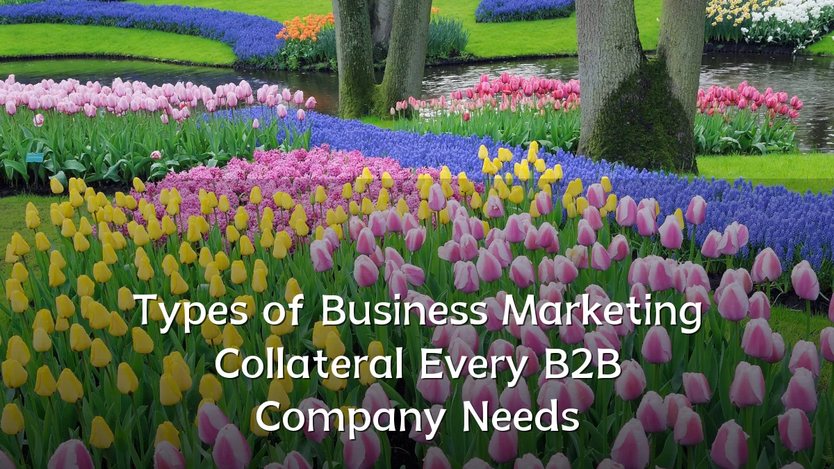 Types of Business Marketing Collateral Every B2B Company Needs