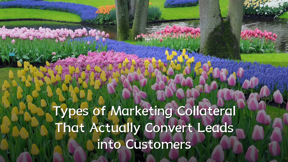 Types of Marketing Collateral That Actually Convert Leads into Customers