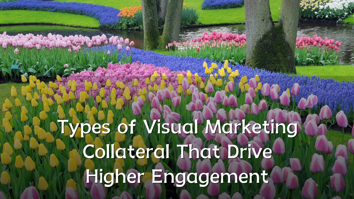Types of Visual Marketing Collateral That Drive Higher Engagement