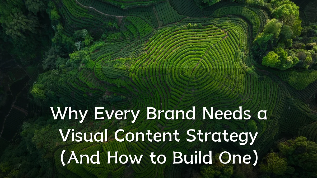 Why Every Brand Needs a Visual Content Strategy (And How to Build One)