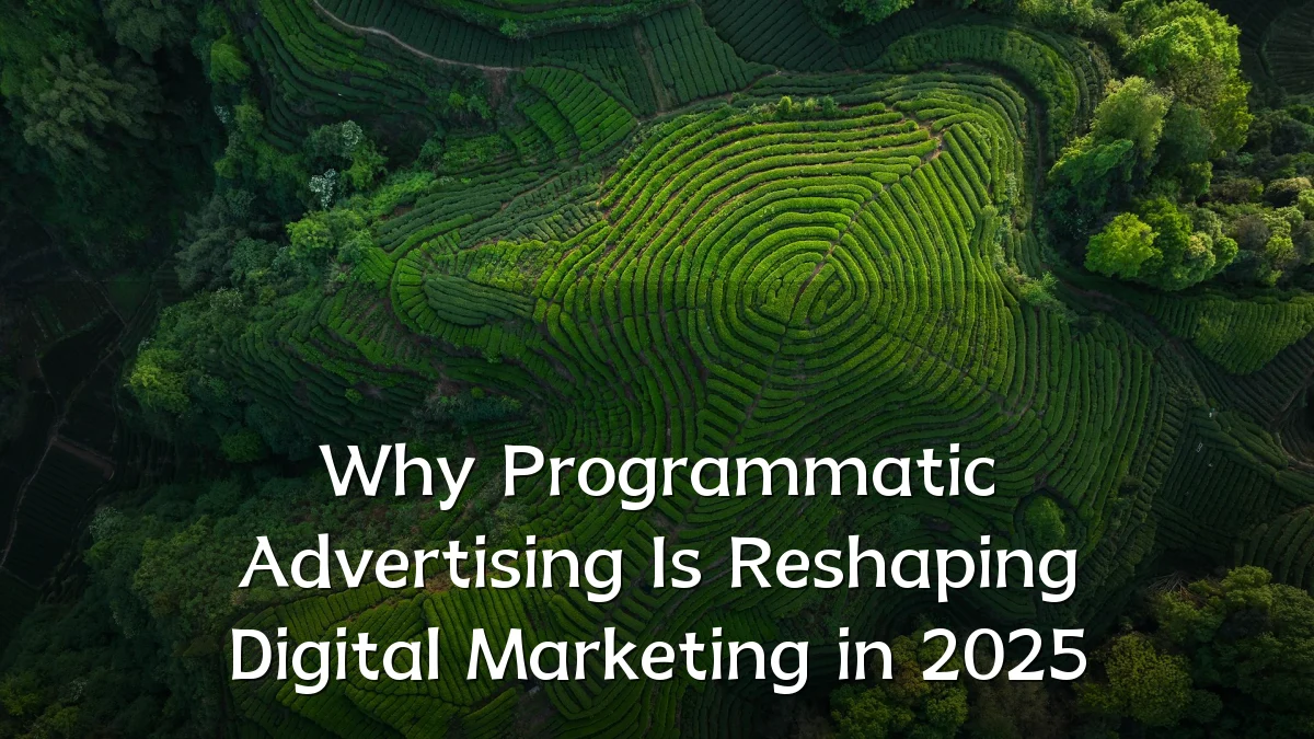 Why Programmatic Advertising Is Reshaping Digital Marketing in 2025