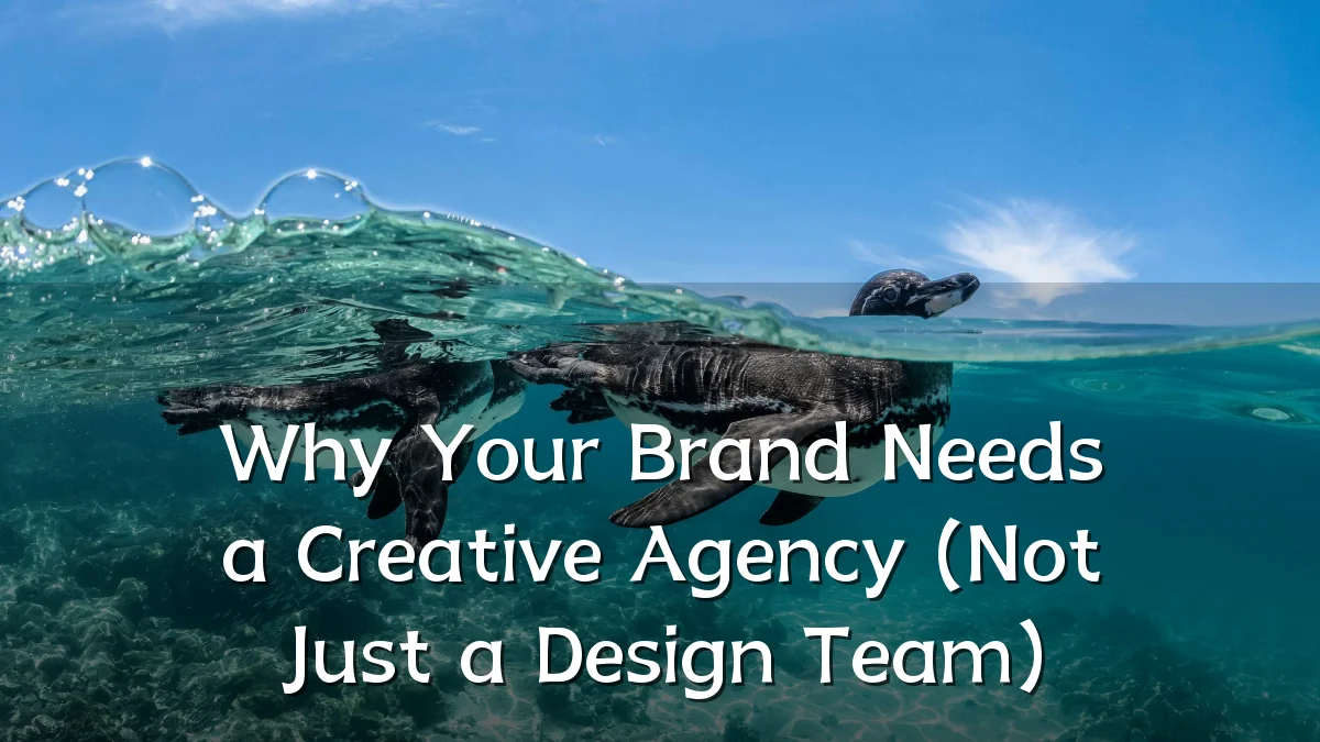 Why Your Brand Needs a Creative Agency (Not Just a Design Team)