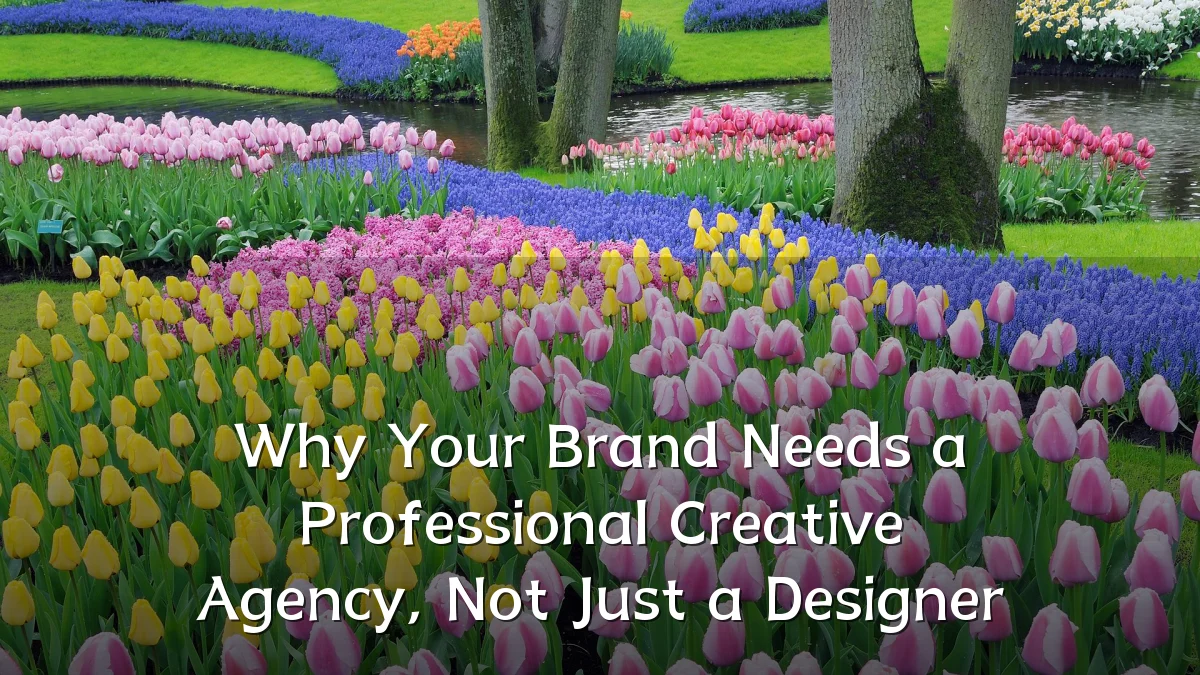 Why Your Brand Needs a Professional Creative Agency, Not Just a Designer