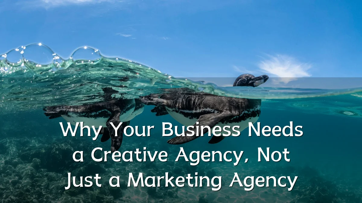 Why Your Business Needs a Creative Agency, Not Just a Marketing Agency