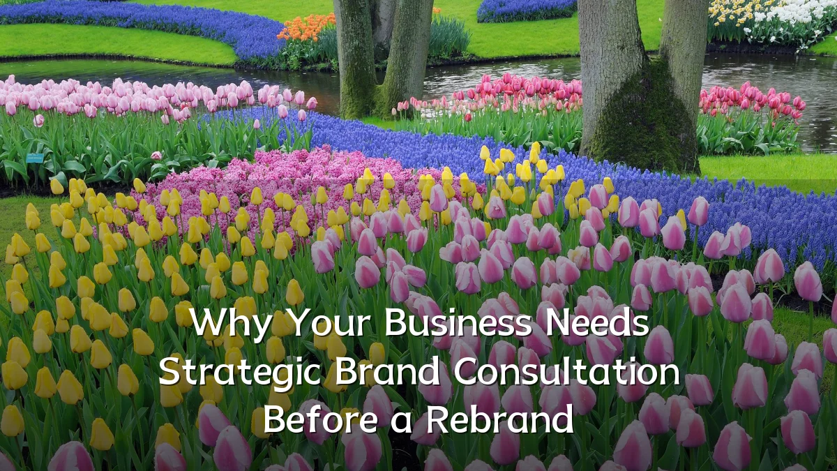 Why Your Business Needs Strategic Brand Consultation Before a Rebrand
