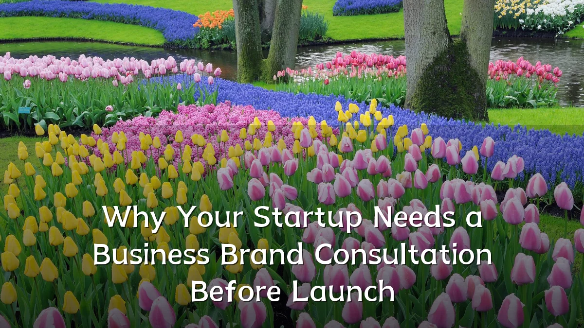 Why Your Startup Needs a Business Brand Consultation Before Launch