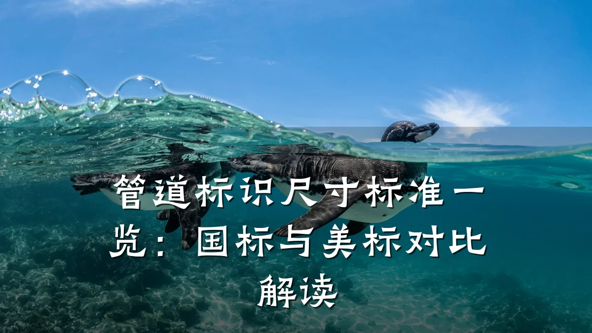 管道标识尺寸标准一览：国标与美标对比解读
