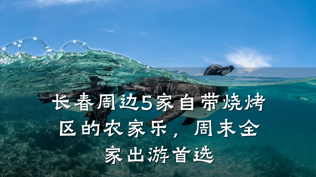 长春周边5家自带烧烤区的农家乐,周末全家出游首选