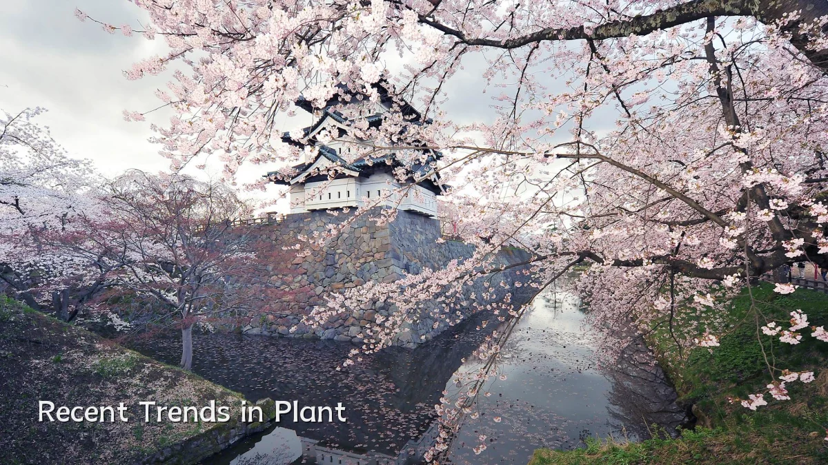 Recent Trends in Plant