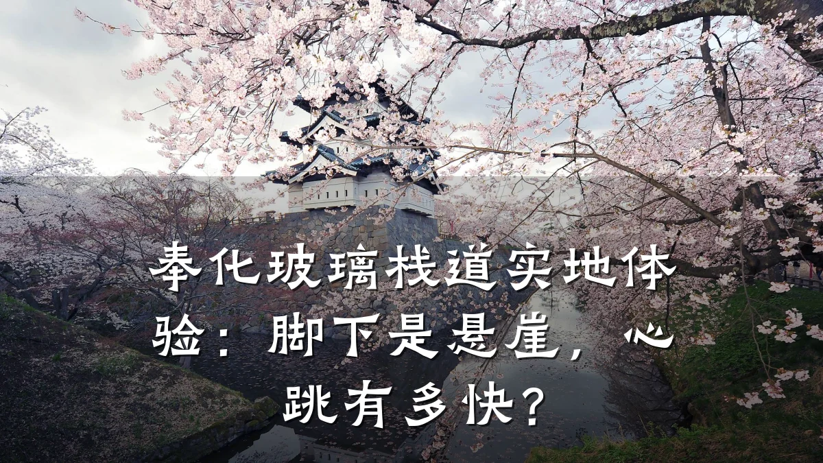 奉化玻璃栈道实地体验:脚下是悬崖,心跳有多快?