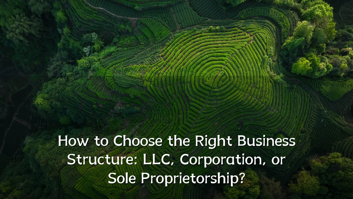 How to Choose the Right Business Structure: LLC, Corporation, or Sole Proprietorship?