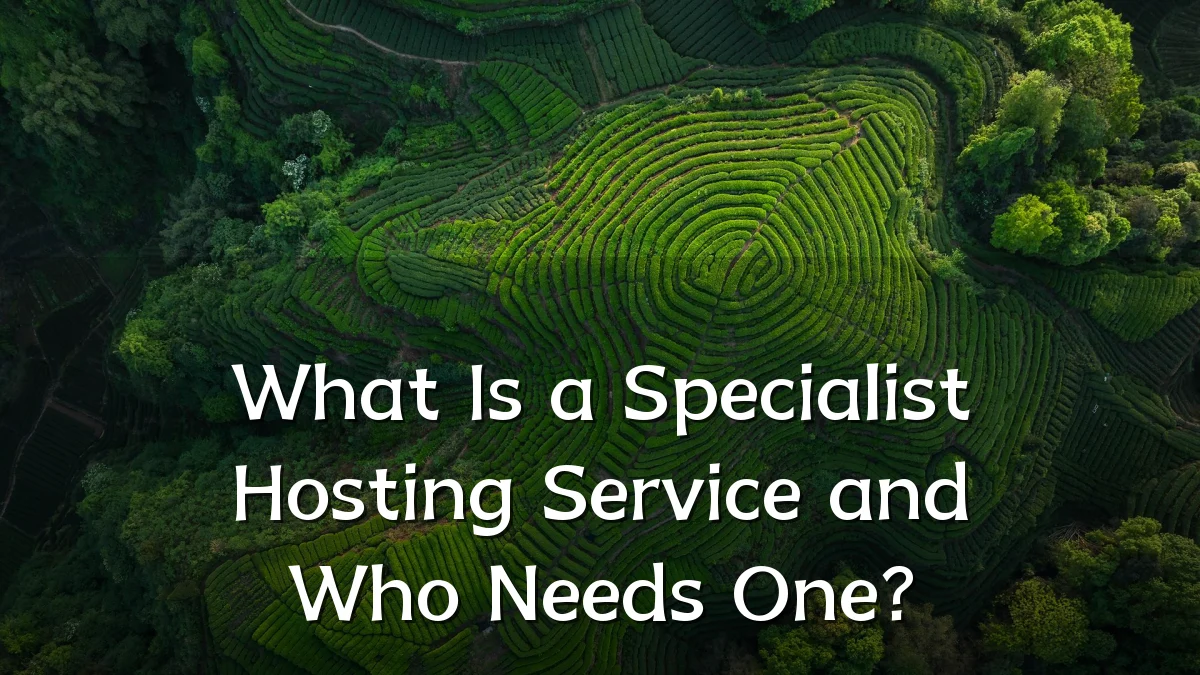 What Is a Specialist Hosting Service and Who Needs One?