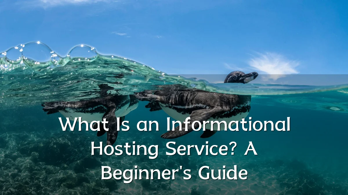 What Is an Informational Hosting Service? A Beginner's Guide