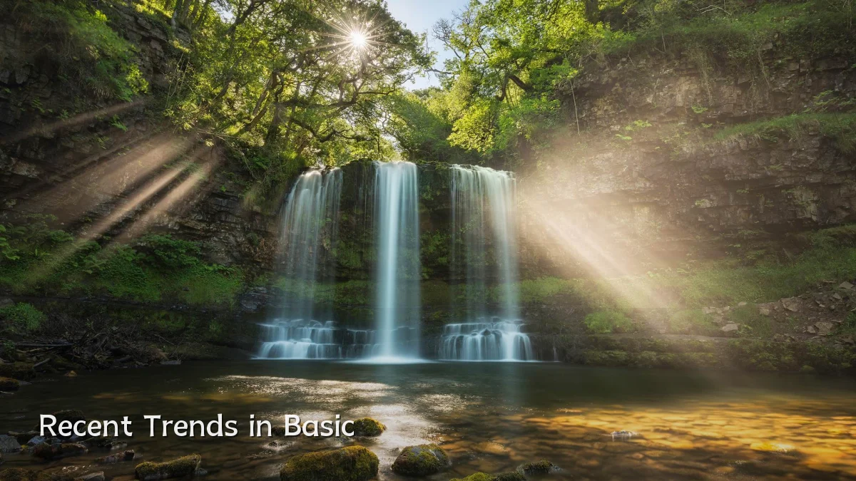 Recent Trends in Basic