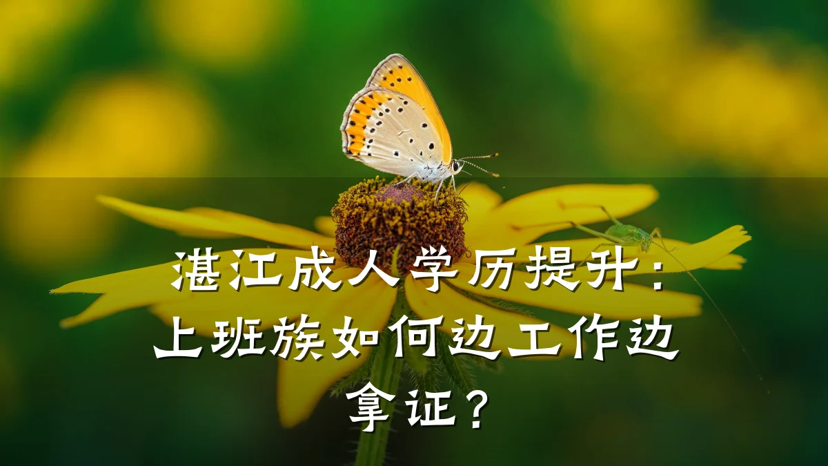 湛江成人学历提升：上班族如何边工作边拿证？