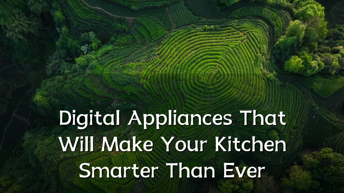 Digital Appliances That Will Make Your Kitchen Smarter Than Ever