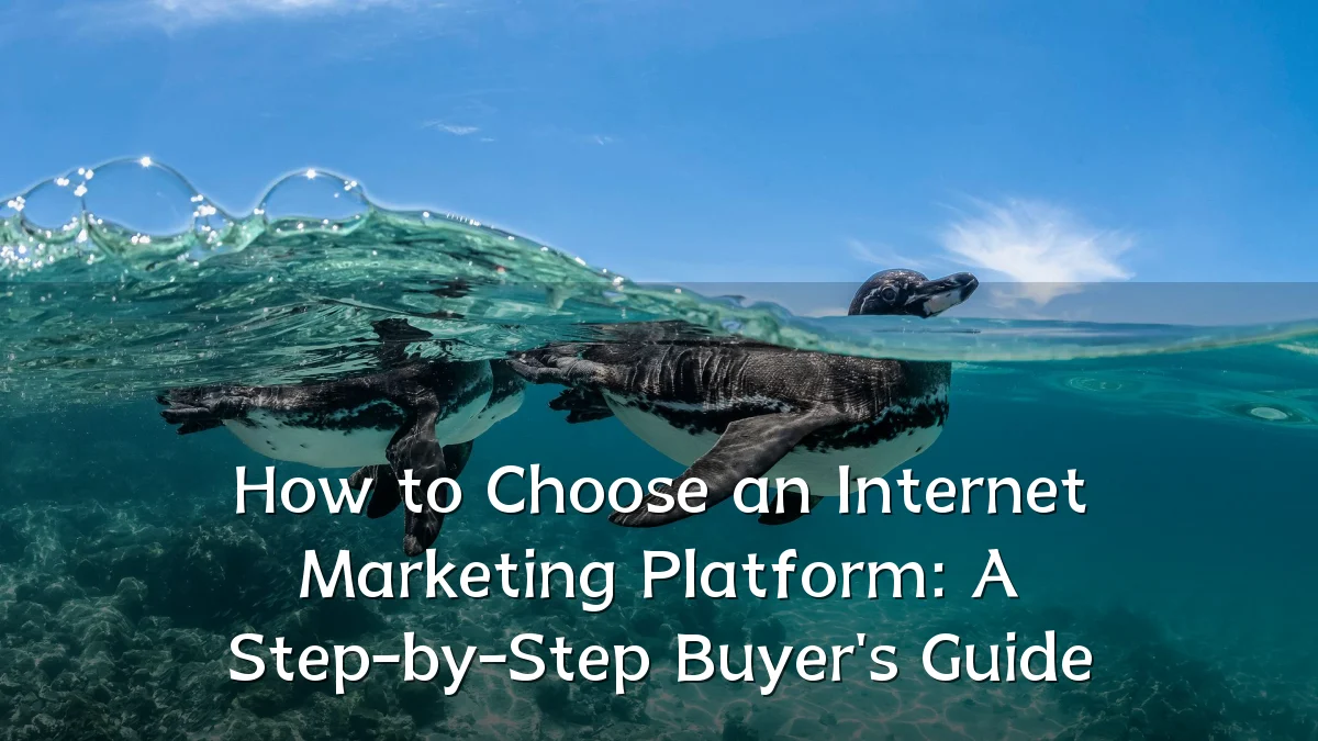 How to Choose an Internet Marketing Platform: A Step-by-Step Buyer's Guide